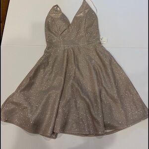 ✨ Windsor Sparkly Blush Skater Dress – XS (NEW with Tags) ✨